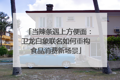 当辣条遇上方便面：卫龙白象联名如何重构食品消费新场景