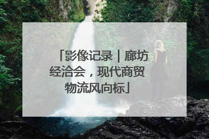 影像记录｜廊坊经洽会，现代商贸物流风向标