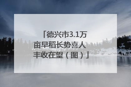 德兴市3.1万亩早稻长势喜人 丰收在望（图）