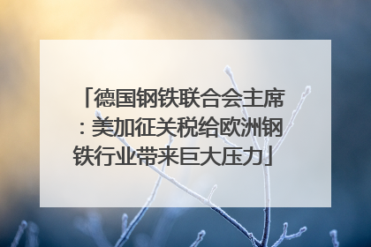 德国钢铁联合会主席：美加征关税给欧洲钢铁行业带来巨大压力