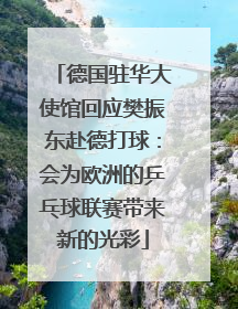 德国驻华大使馆回应樊振东赴德打球：会为欧洲的乒乓球联赛带来新的光彩
