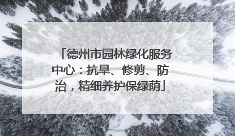 德州市园林绿化服务中心：抗旱、修剪、防治，精细养护保绿荫
