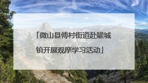 微山县傅村街道赴驩城镇开展观摩学习活动