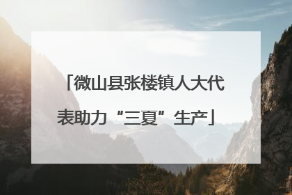 微山县张楼镇人大代表助力“三夏”生产