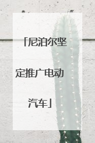 尼泊尔坚定推广电动汽车