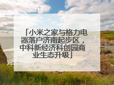 小米之家与格力电器落户济南起步区，中科新经济科创园商业生态升级