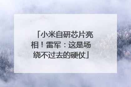 小米自研芯片亮相！雷军：这是场绕不过去的硬仗