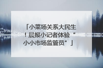 小菜场关系大民生！晨报小记者体验“小小市场监管员”