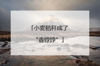 小麦秸秆成了“香饽饽”