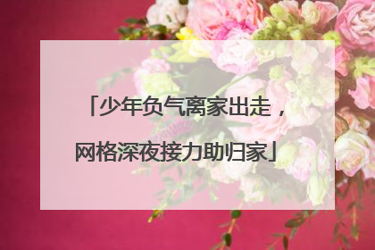 少年负气离家出走，网格深夜接力助归家