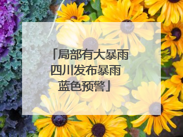 局部有大暴雨 四川发布暴雨蓝色预警