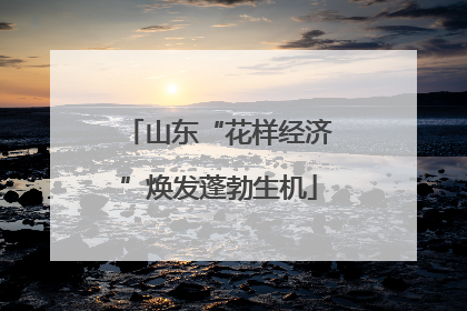 山东“花样经济”焕发蓬勃生机
