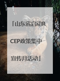 山东省启动RCEP政策集中宣传月活动