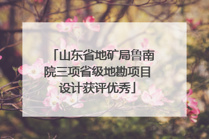 山东省地矿局鲁南院三项省级地勘项目设计获评优秀