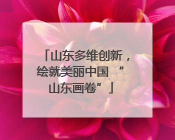 山东多维创新，绘就美丽中国 “山东画卷”