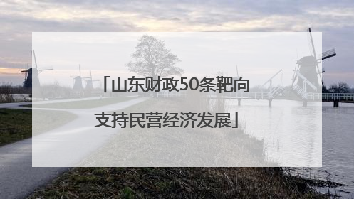 山东财政50条靶向支持民营经济发展