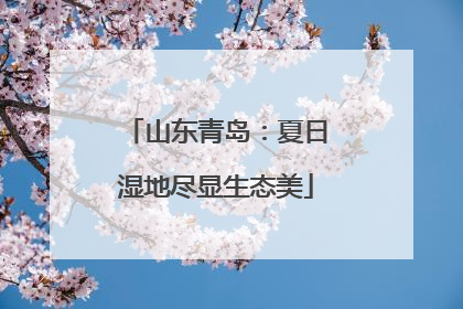 山东青岛：夏日湿地尽显生态美