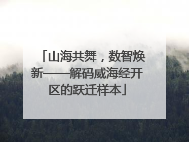 山海共舞，数智焕新——解码威海经开区的跃迁样本