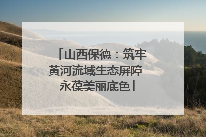 山西保德：筑牢黄河流域生态屏障 永葆美丽底色