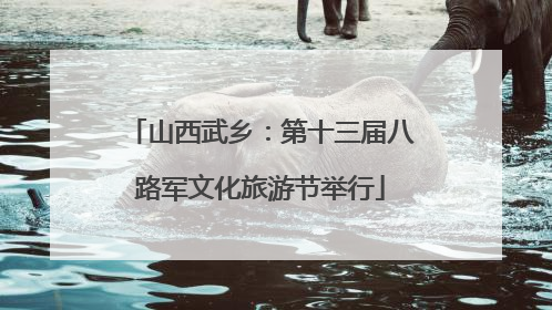 山西武乡：第十三届八路军文化旅游节举行