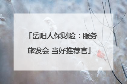 岳阳人保财险：服务旅发会 当好推荐官