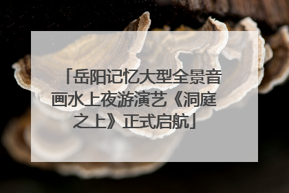 岳阳记忆大型全景音画水上夜游演艺《洞庭之上》正式启航