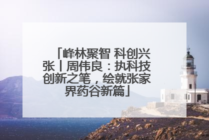 峰林聚智 科创兴张丨周伟良：执科技创新之笔，绘就张家界药谷新篇