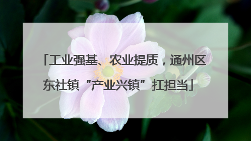 工业强基、农业提质，通州区东社镇“产业兴镇”扛担当