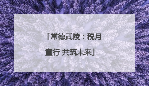 常德武陵：税月童行 共筑未来
