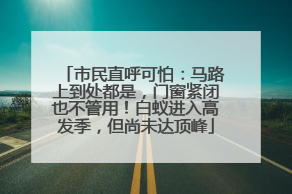 市民直呼可怕：马路上到处都是，门窗紧闭也不管用！白蚁进入高发季，但尚未达顶峰