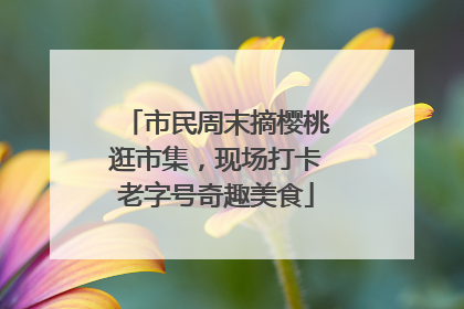 市民周末摘樱桃逛市集，现场打卡老字号奇趣美食