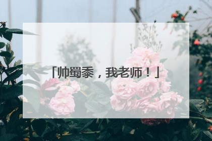 帅蜀黍，我老师！