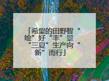 希望的田野智“绘”好“丰”景 “三夏”生产向“新”而行