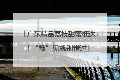 广东精品荔枝甜蜜抵达！“豫”见就别错过