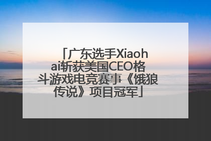 广东选手Xiaohai斩获美国CEO格斗游戏电竞赛事《饿狼传说》项目冠军