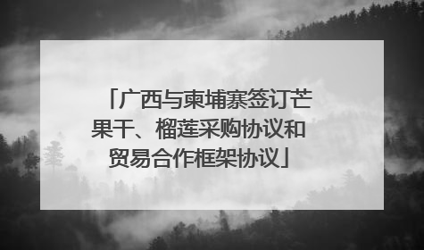 广西与柬埔寨签订芒果干、榴莲采购协议和贸易合作框架协议