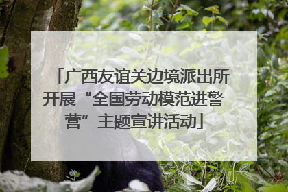 广西友谊关边境派出所开展“全国劳动模范进警营”主题宣讲活动