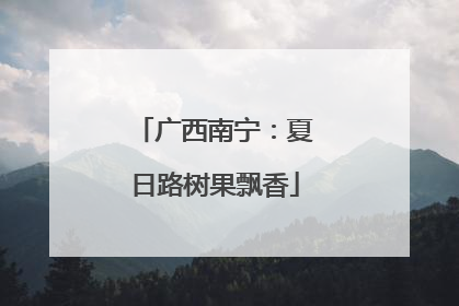 广西南宁：夏日路树果飘香