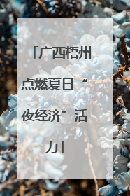 广西梧州点燃夏日“夜经济”活力
