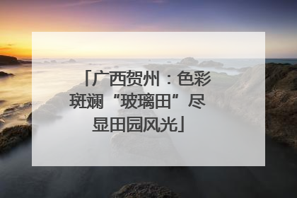 广西贺州：色彩斑斓“玻璃田”尽显田园风光