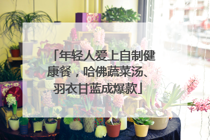 年轻人爱上自制健康餐，哈佛蔬菜汤、羽衣甘蓝成爆款