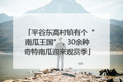 平谷东高村镇有个“南瓜王国”，30余种奇特南瓜迎来观赏季