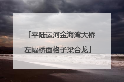 平陆运河金海湾大桥左幅桥面格子梁合龙