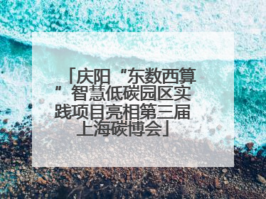 庆阳“东数西算”智慧低碳园区实践项目亮相第三届上海碳博会