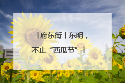 府东街丨东明，不止“西瓜节”