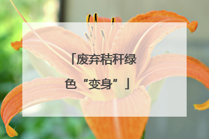 废弃秸秆绿色“变身”