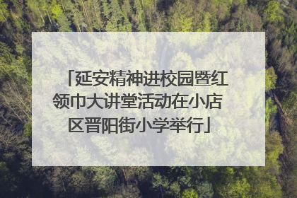 延安精神进校园暨红领巾大讲堂活动在小店区晋阳街小学举行