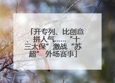 开专列、比创意、拼人气……“十三太保”激战“苏超” 外场赛事