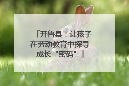 开鲁县：让孩子在劳动教育中探寻成长“密码”