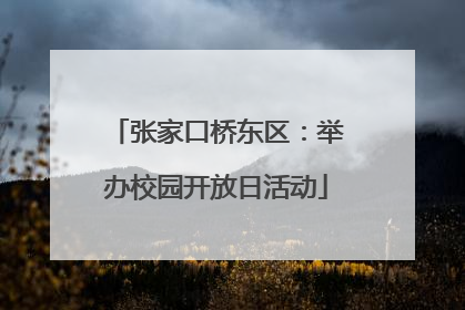 张家口桥东区：举办校园开放日活动